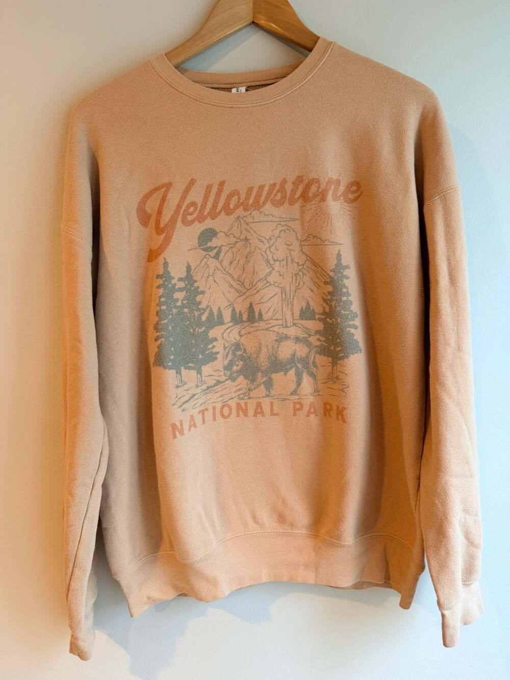 Bella+Canvas Yellowstone National Park Bison Graphic Sweatshirt Size L